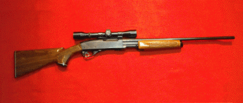 remington_model760.gif