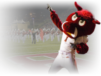 razorback_mascot.png