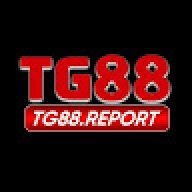 tg88reportt