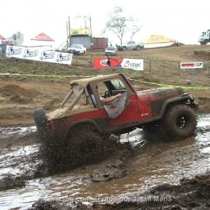 Nica89YJ