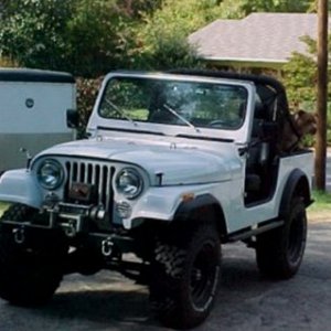 81 Cj7