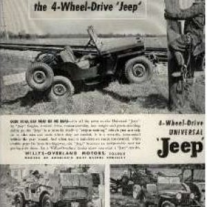 Willys