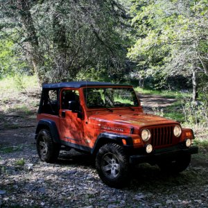 New Mexico Trails