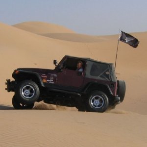 Abu Dhabi Blacksheep: Kiwi in the Sand