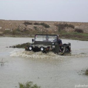 Wading through