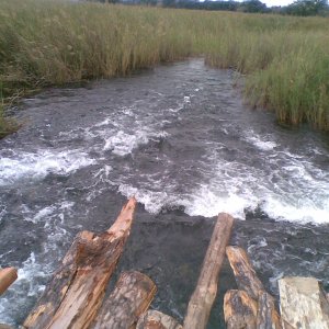 Zambia/Congo border