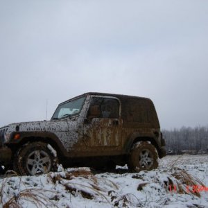 Playing in the Snow