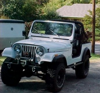 81 Cj7