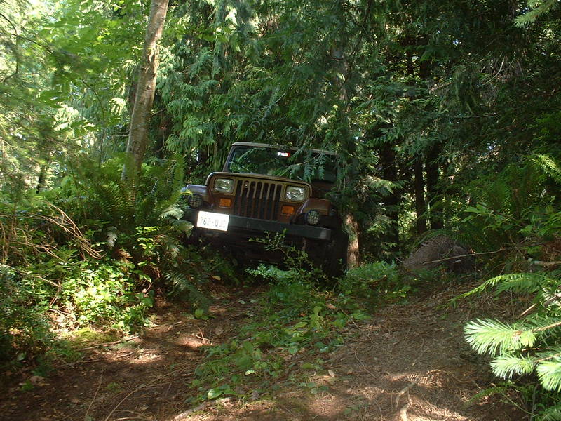 89 YJ Sahara Edition