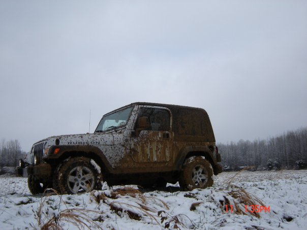 Playing in the Snow