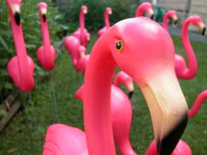 artcollectioncuteflamingofunnyFavimcom18-1.jpg