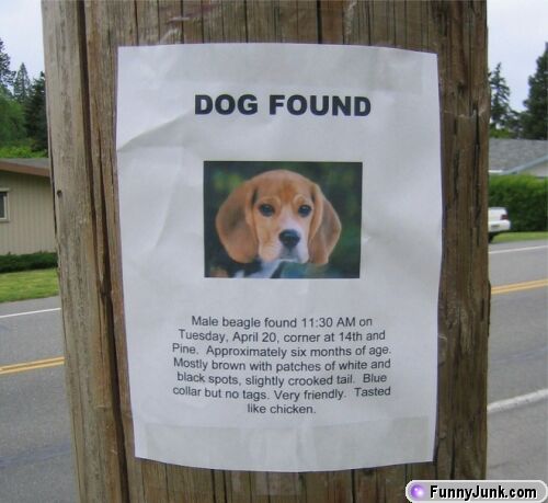 dogfound-1.jpg